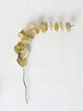Westside Home Leaf Stem Decor