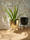 Westside Home Gold Satin Short Planter