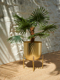 Westside Home Gold Short Planter with Stand